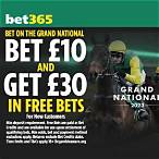 who to bet on grand national